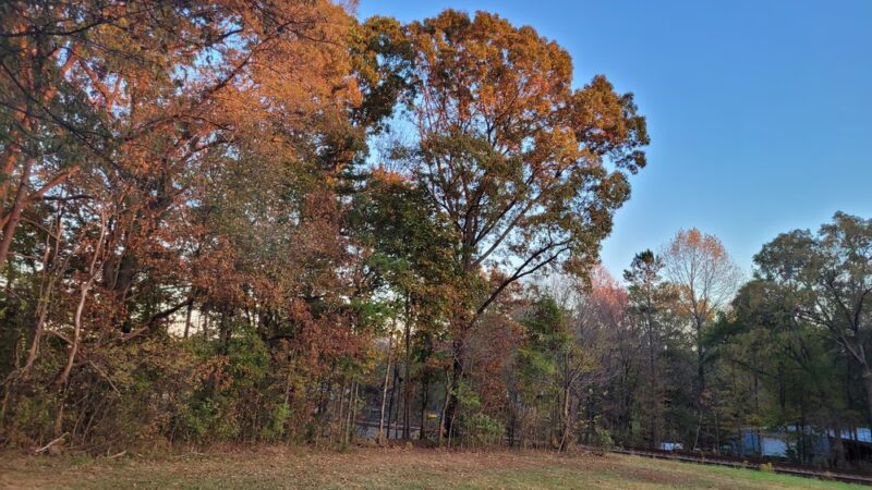 Harrisburg Park mountain bike trail - Harrisburg, NC
