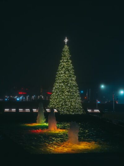 Veterans Park - Harrisburg, NC