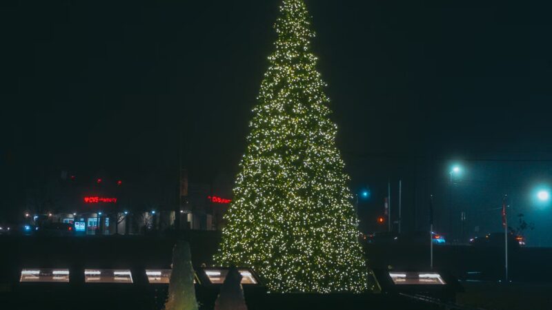 Veterans Park - Harrisburg, NC