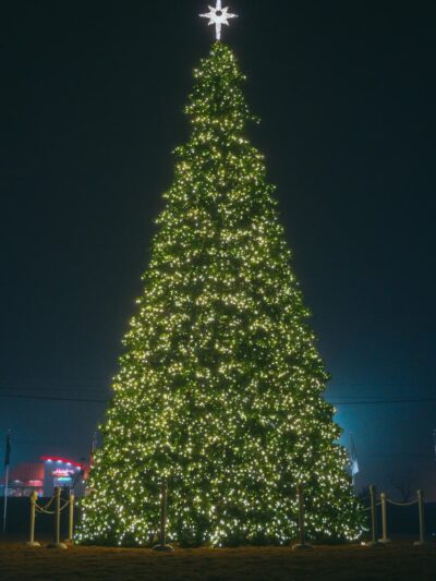 Veterans Park - Harrisburg, NC