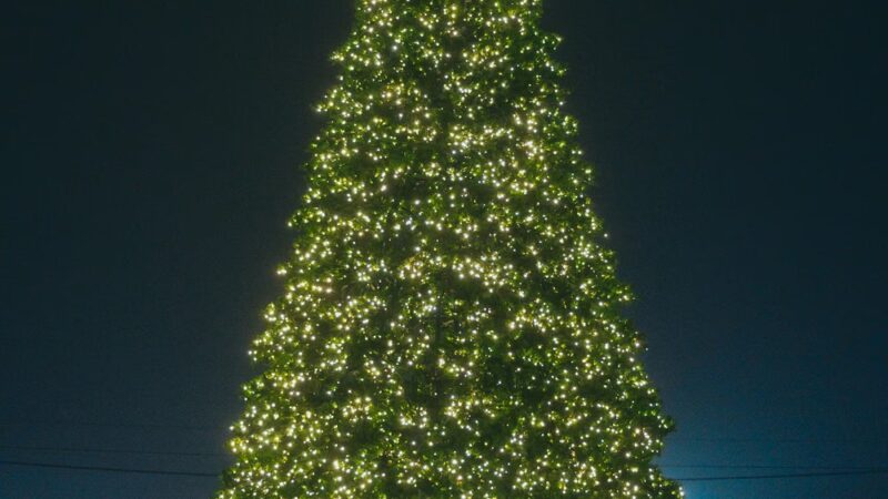 Veterans Park - Harrisburg, NC