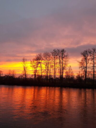 Riverfront Park - Harrisburg, OR