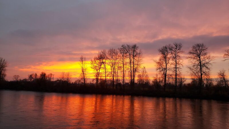 Riverfront Park - Harrisburg, OR