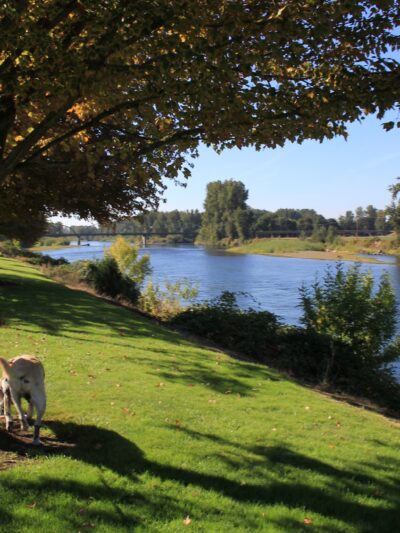 Riverfront Park - Harrisburg, OR