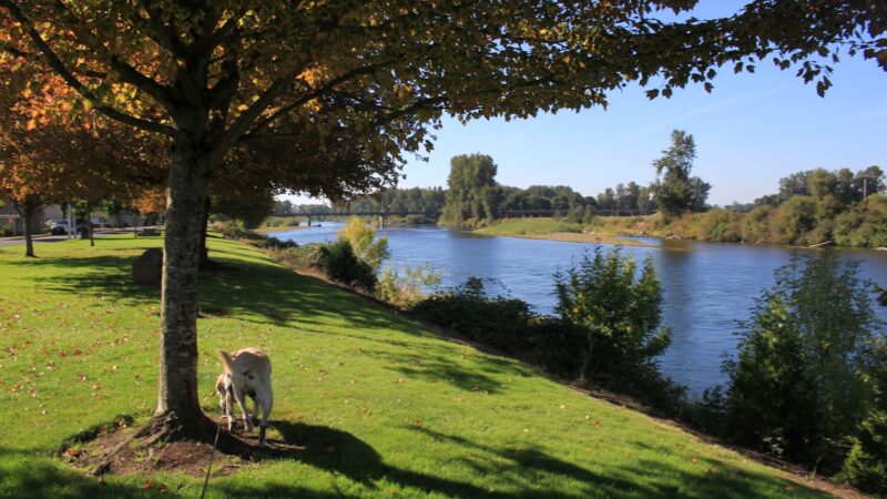 Riverfront Park - Harrisburg, OR