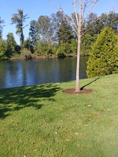Riverfront Park - Harrisburg, OR