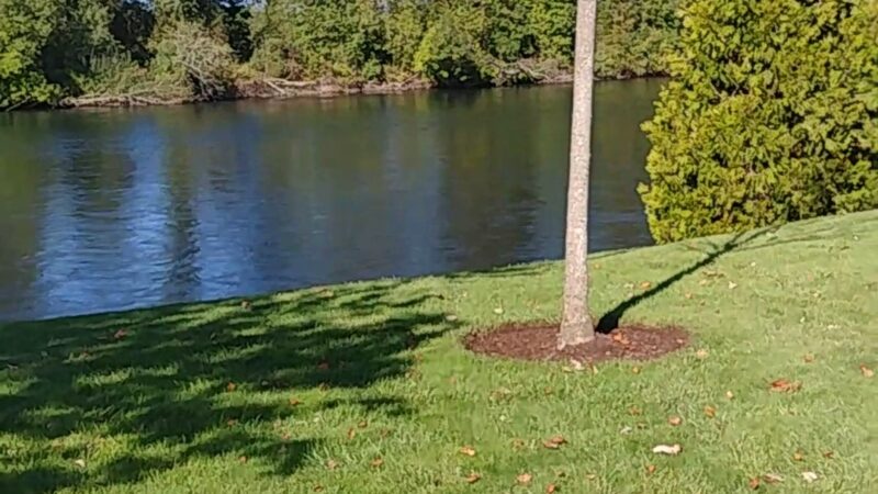 Riverfront Park - Harrisburg, OR