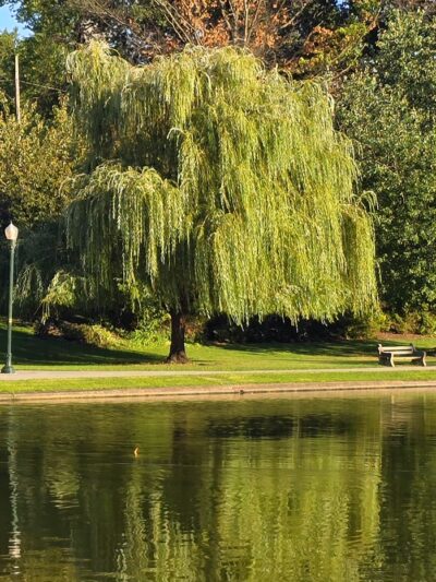 Italian Lake Park - Harrisburg, PA