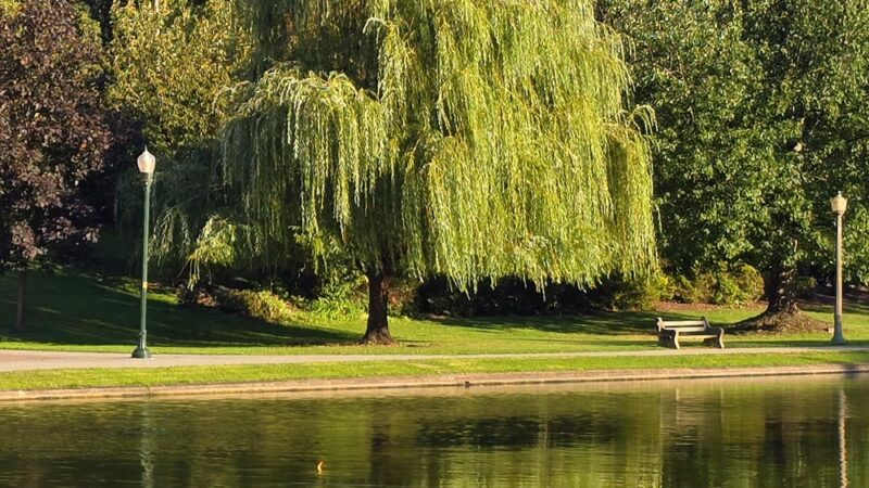 Italian Lake Park - Harrisburg, PA