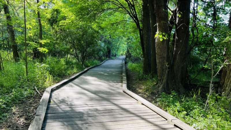 Wildwood Park - Harrisburg, PA