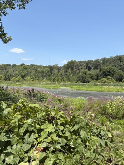 Wildwood Park - Harrisburg, PA