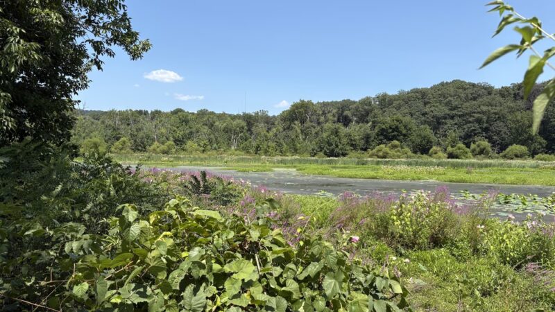 Wildwood Park - Harrisburg, PA