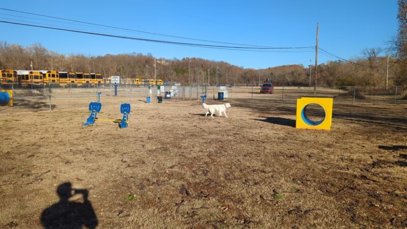 Kiwanis bark park - Harrison, AR