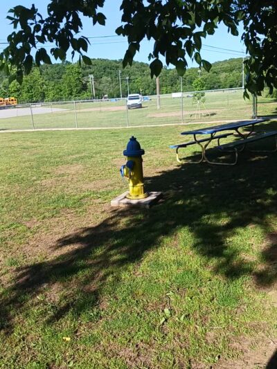 Kiwanis bark park - Harrison, AR