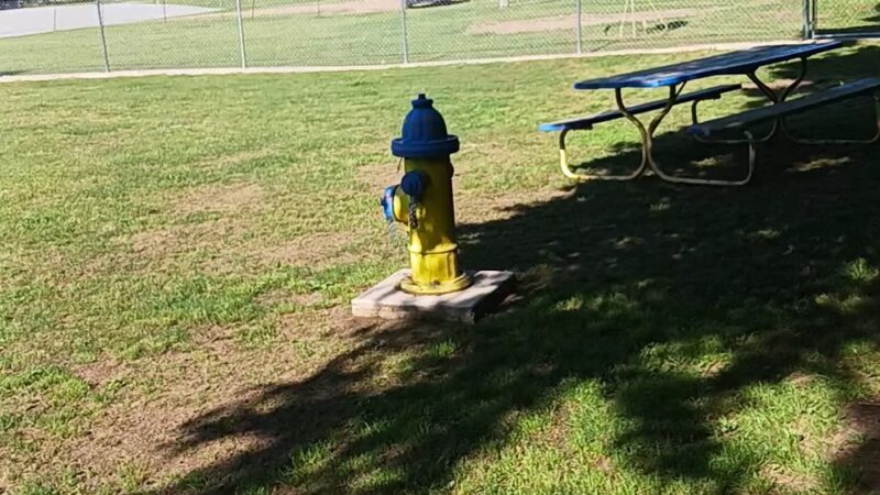 Kiwanis bark park - Harrison, AR