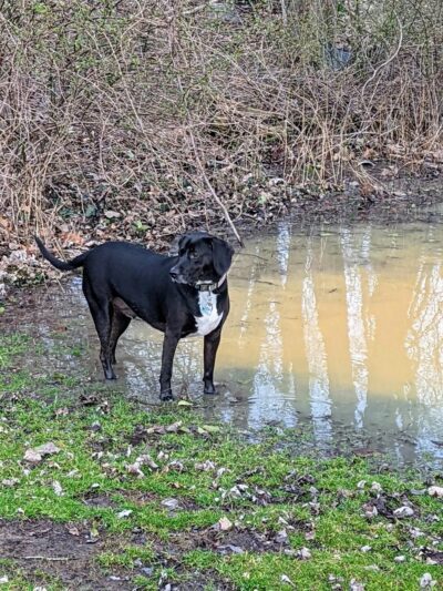 Harrison Park - Harrison, NY