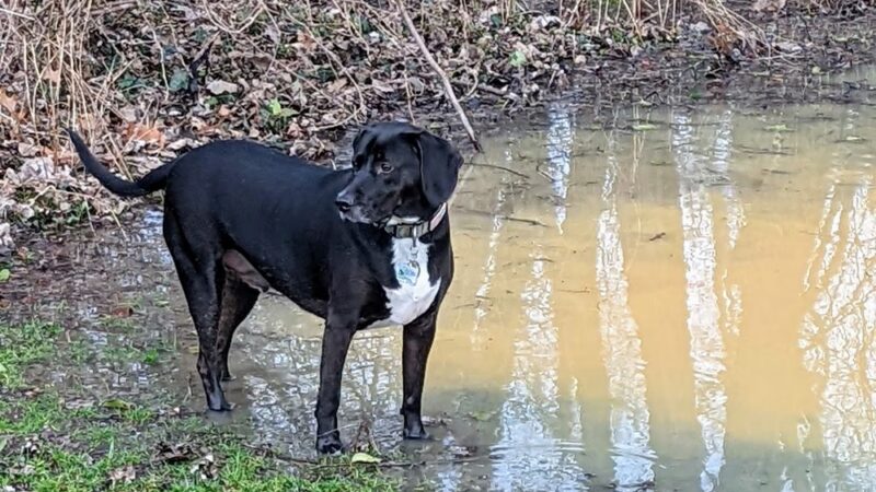 Harrison Park - Harrison, NY