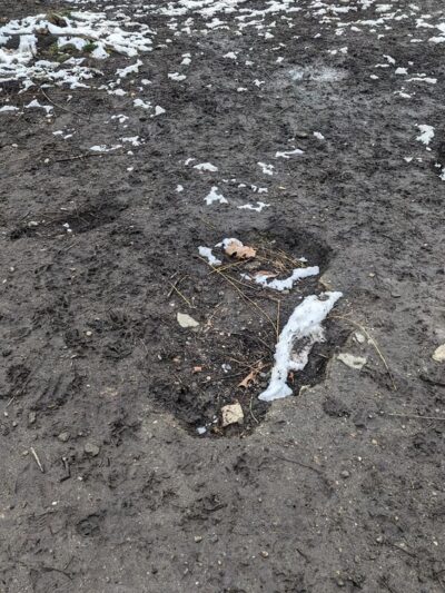 Harrison Park - Harrison, NY