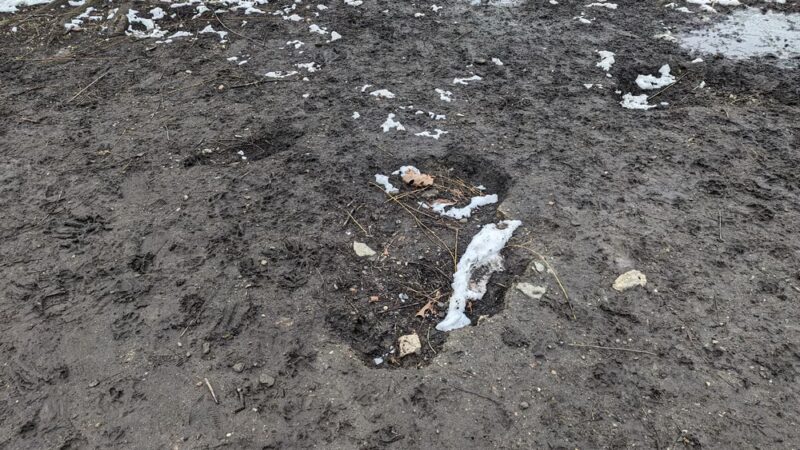 Harrison Park - Harrison, NY