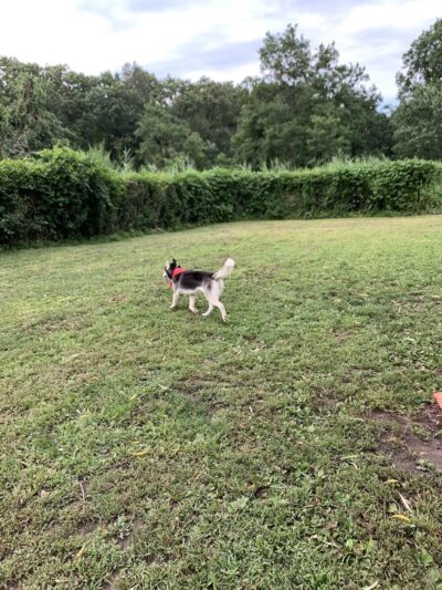 Harrison Park - Harrison, NY