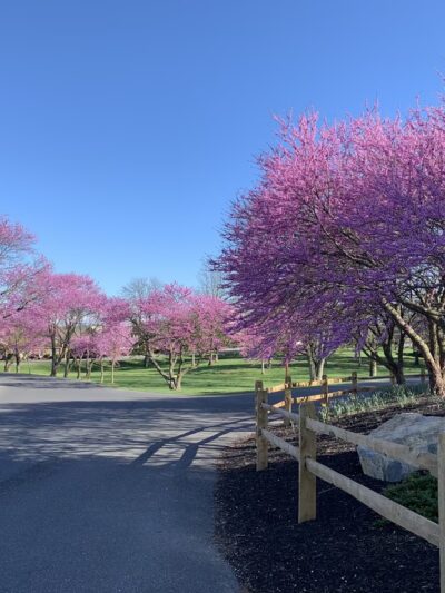 Harrisonburg Parks & Rec Department - Harrisonburg, VA