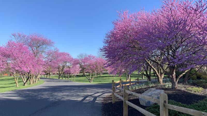 Harrisonburg Parks & Rec Department - Harrisonburg, VA