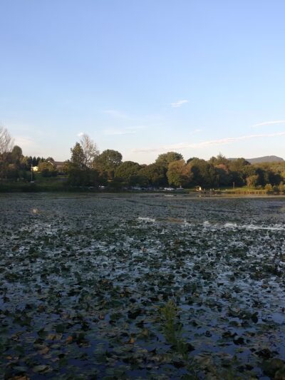 Lake Shenandoah - Harrisonburg, VA