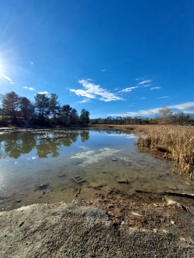 Lake Shenandoah - Harrisonburg, VA