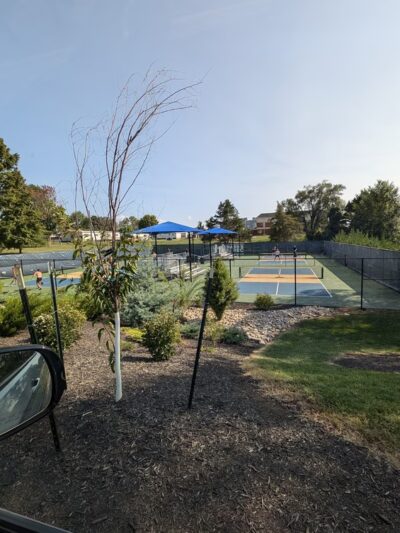 Morrison Park - Harrisonburg, VA