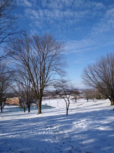 Ralph Sampson Park - Harrisonburg, VA
