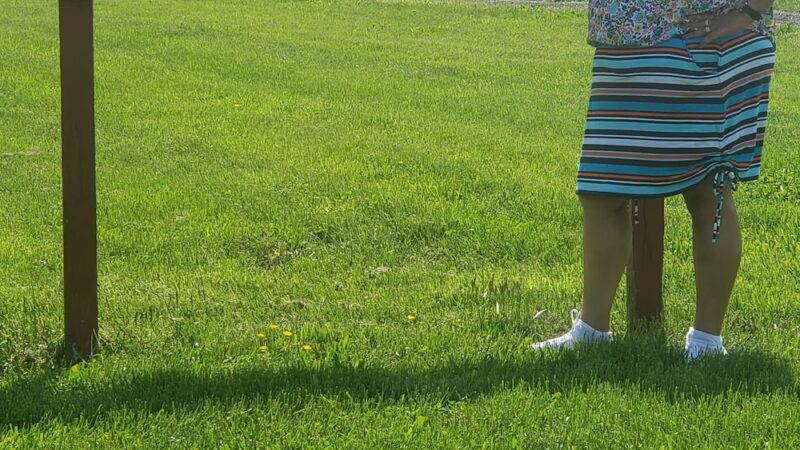 Ralph Sampson Park - Harrisonburg, VA