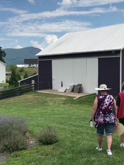 White Oak Lavender Farm & The Purple WOLF Vineyard - Harrisonburg, VA