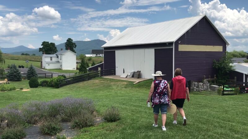White Oak Lavender Farm & The Purple WOLF Vineyard - Harrisonburg, VA