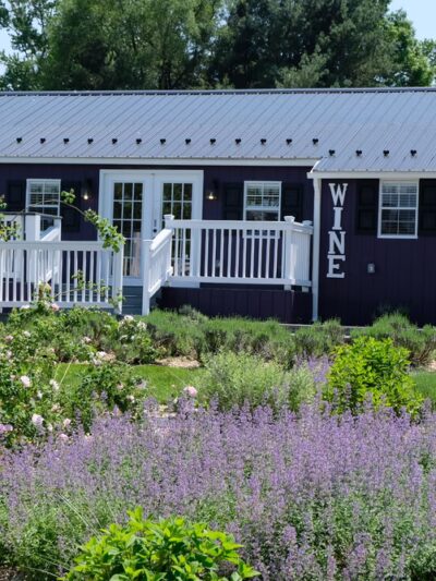White Oak Lavender Farm & The Purple WOLF Vineyard - Harrisonburg, VA