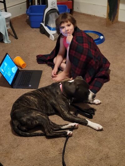 Ritchie County Humane Society - Harrisville, WV