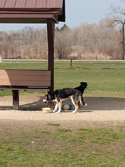 Off-Leash Dog Area - Hartford, WI