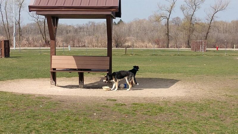 Off-Leash Dog Area - Hartford, WI