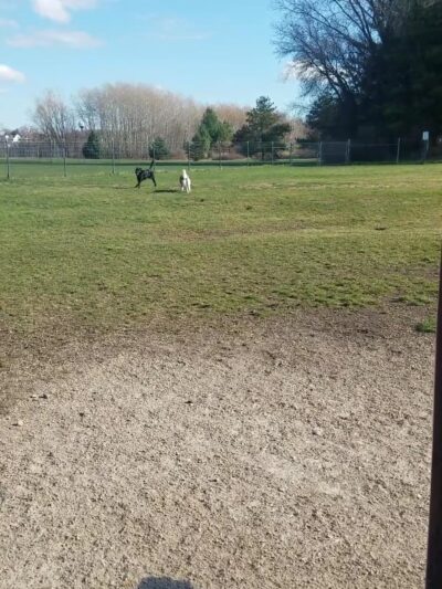 Off-Leash Dog Area - Hartford, WI