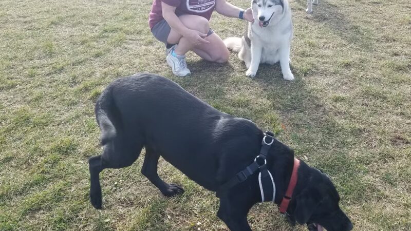 Off-Leash Dog Area - Hartford, WI