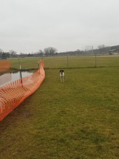 Off-Leash Dog Area - Hartford, WI