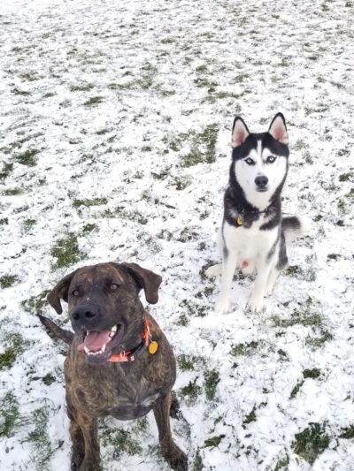 Off-Leash Dog Area - Hartford, WI
