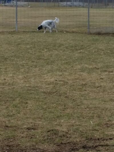 Independence Park - Hartford, WI