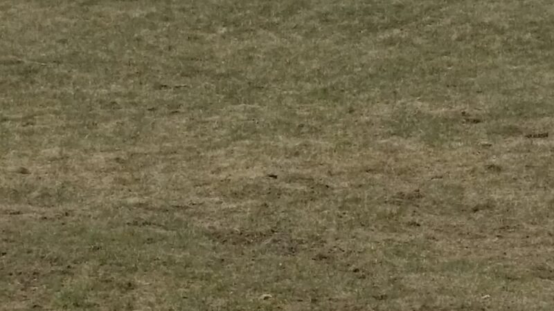 Independence Park - Hartford, WI