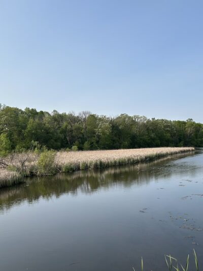 Bugline Trail - Fireman’s Park Trailhead - Hartland, WI