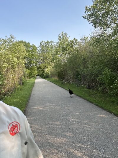 Bugline Trail - Fireman’s Park Trailhead - Hartland, WI