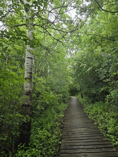 Hartland Marsh Preserve (Cottonwood Wayside) - Hartland, WI