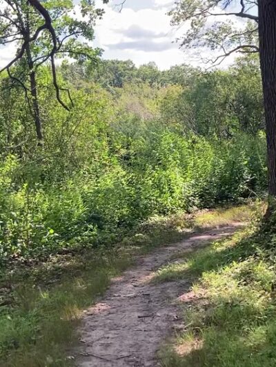 Hartland Marsh Preserve (Cottonwood Wayside) - Hartland, WI