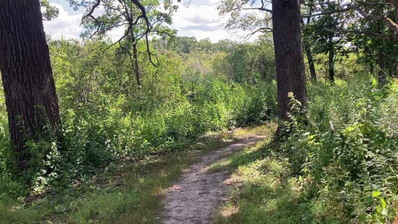 Hartland Marsh Preserve (Cottonwood Wayside) - Hartland, WI