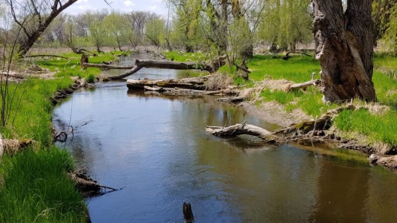 Hartland Marsh Preserve (Cottonwood Wayside) - Hartland, WI