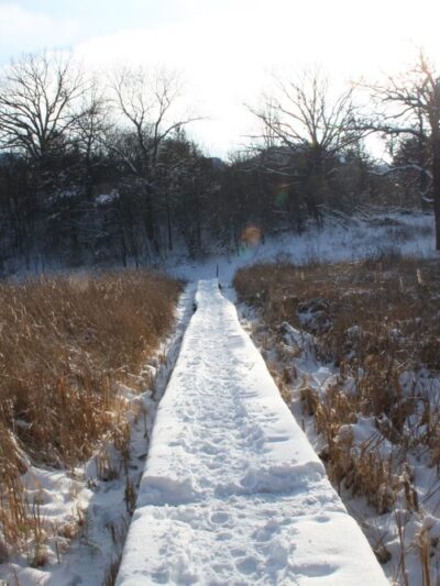 Maple Wayside - Hartland, WI